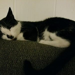 Meet your Posher, April